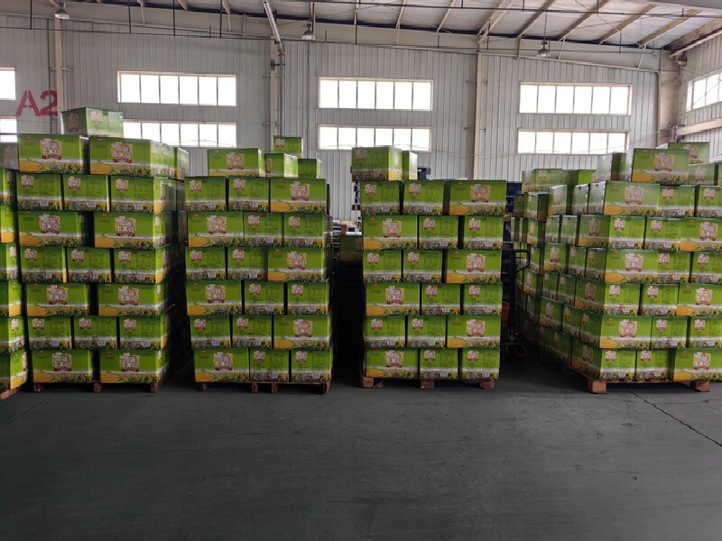 溫州到應(yīng)城貨運(yùn)公司