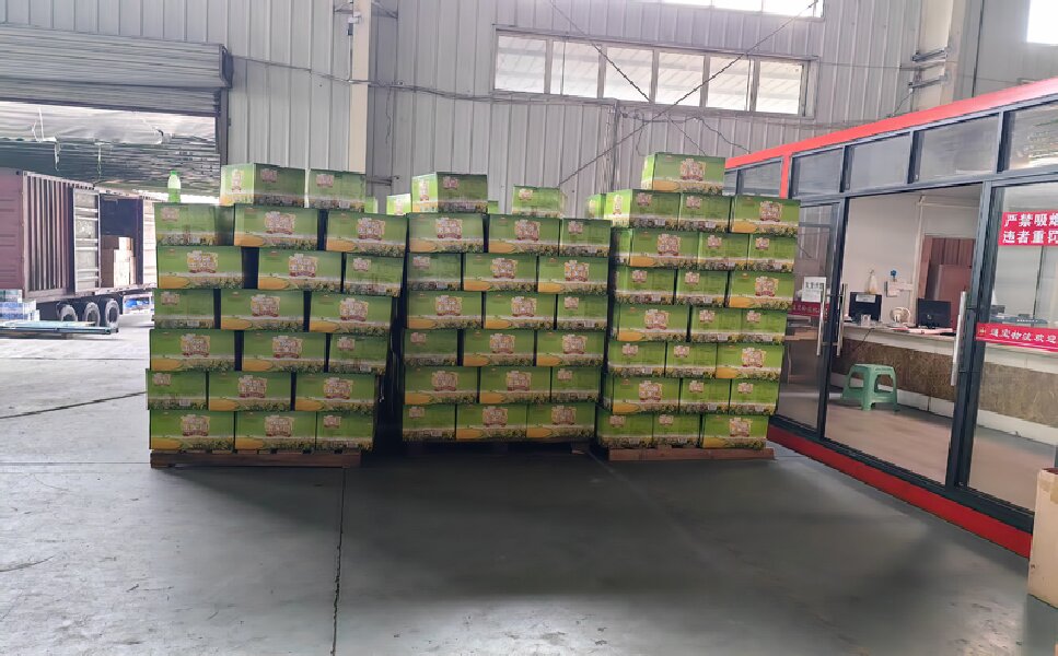 溫州到博湖縣物流專(zhuān)線